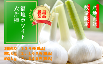 福地ホワイト六片種